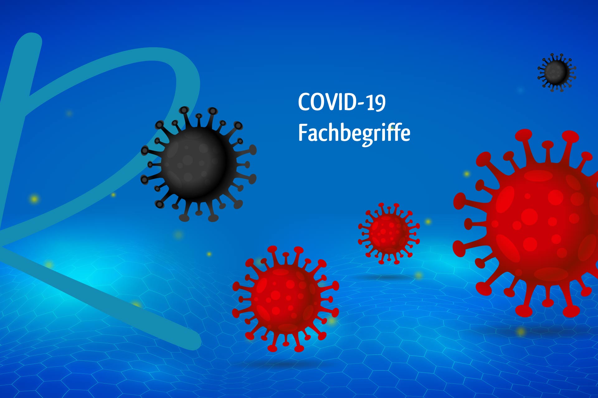 DRR-COVID19-Fachbegriffe-Home